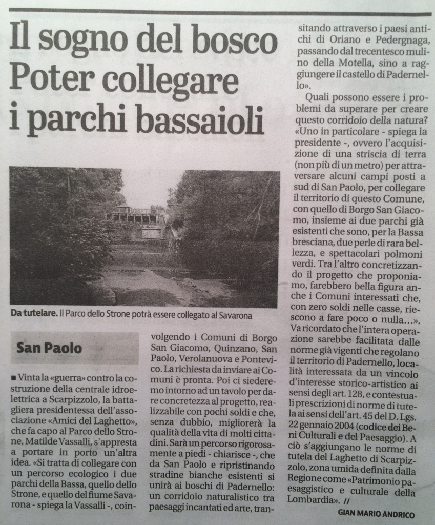 Articolo Giornale di Brescia del 31.05.16