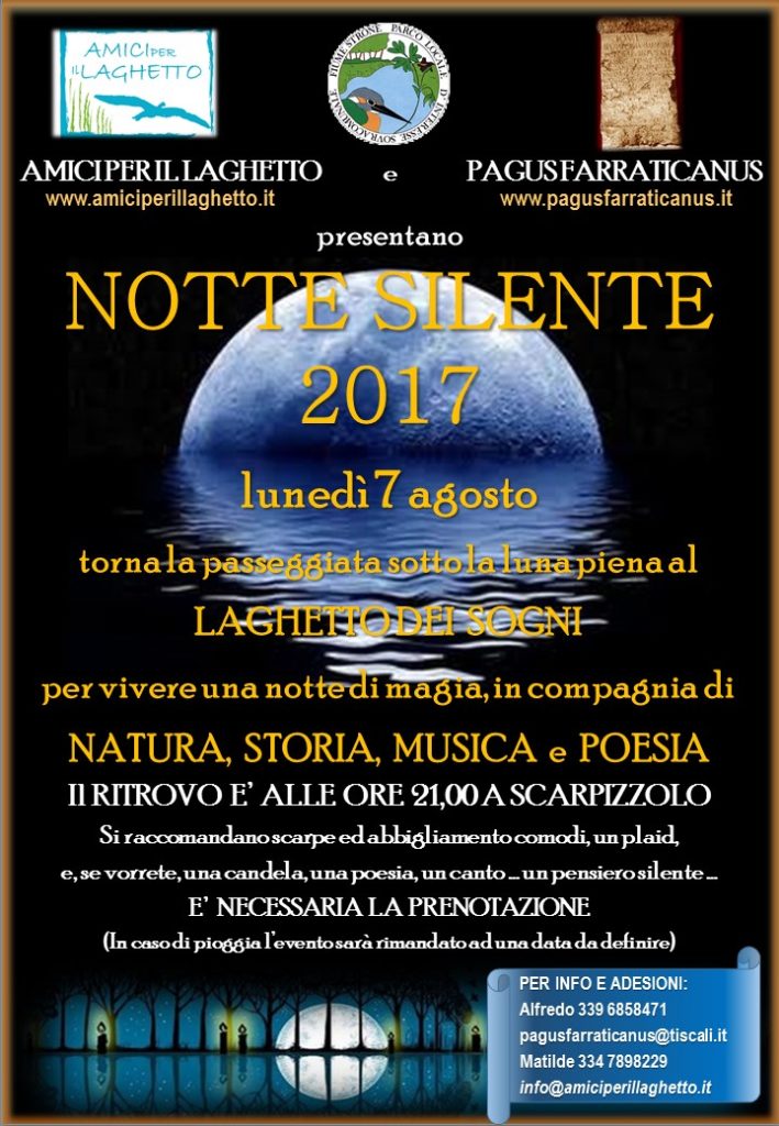 Locandina Notte Silente 2017