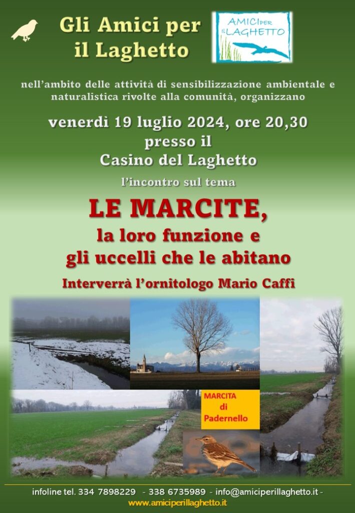 Laghetto le marcite 19.07.24